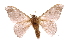  ( - INB0003041207)  @13 [ ] Copyright (2012) I. Chacon Instituto Nacional de Biodiversidad