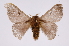  ( - INB0003041309)  @13 [ ] Copyright (2012) I. Chacon Instituto Nacional de Biodiversidad