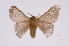  ( - INB0003041309)  @13 [ ] Copyright (2012) I. Chacon Instituto Nacional de Biodiversidad