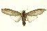  ( - INB0003041524)  @14 [ ] Copyright (2012) Juan Mata Lorenzen Unspecified