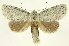  ( - INB0003042802)  @14 [ ] Copyright (2012) Juan Mata Lorenzen Unspecified