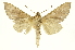  ( - INB0003042850)  @14 [ ] Copyright (2012) Juan Mata Lorenzen Unspecified