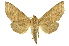  ( - INB0003043506)  @14 [ ] Copyright (2012) Juan Mata Lorenzen Unspecified