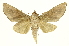  ( - INB0003043506)  @14 [ ] Copyright (2012) Juan Mata Lorenzen Unspecified