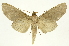  ( - INB0003043507)  @14 [ ] Copyright (2012) Juan Mata Lorenzen Unspecified