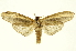  ( - INB0003044924)  @13 [ ] Copyright (2012) Juan Mata Lorenzen Unspecified