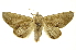  ( - INB0003044941)  @14 [ ] Copyright (2012) Juan Mata Lorenzen Unspecified
