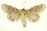  ( - INB0003045076)  @12 [ ] Copyright (2012) Juan Mata Lorenzen Unspecified