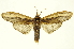  ( - INB0003045089)  @14 [ ] Copyright (2012) Juan Mata Lorenzen Unspecified