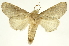  ( - INB0003045117)  @14 [ ] Copyright (2012) Juan Mata Lorenzen Unspecified