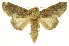  ( - INB0003046374)  @13 [ ] Copyright (2012) Juan Mata Lorenzen Unspecified