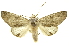  ( - INB0003050074)  @14 [ ] Copyright (2012) Juan Mata Lorenzen INBio