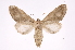  ( - INB0003050075)  @14 [ ] Copyright (2012) I. Chacon Instituto Nacional de Biodiversidad