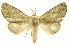  ( - INB0003050082)  @14 [ ] Copyright (2012) Juan Mata Lorenzen INBio