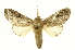  ( - INB0003050088)  @11 [ ] Copyright (2012) Juan Mata Lorenzen Unspecified