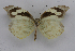  ( - INB0003053686)  @12 [ ] CreativeCommons - Attribution Non-Commercial Share-Alike (2012) National Biodiversity Institute of Costa Rica National Biodiversity Institute of Costa Rica