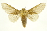  ( - INB0003055317)  @14 [ ] Copyright (2012) J. Montero INBio