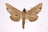  ( - INB0003055441)  @14 [ ] Copyright (2012) I. Chacon Instituto Nacional de Biodiversidad