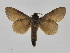  ( - INB0003072712)  @14 [ ] Copyright (2012) J. Montero Instituto Nacional de Biodiversidad