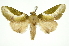  ( - INB0003074707)  @11 [ ] Copyright (2012) Juan Mata Lorenzen Unspecified