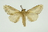  ( - INB0003074707)  @11 [ ] Copyright (2012) Juan Mata Lorenzen Unspecified