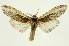 ( - INB0003074753)  @11 [ ] Copyright (2012) J. Montero INBio