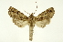 ( - INB0003074763)  @14 [ ] Copyright (2012) Juan Mata Lorenzen Unspecified