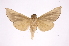  ( - INB0003074767)  @11 [ ] Copyright (2012) I. Chacon Instituto Nacional de Biodiversidad