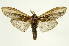  ( - INB0003074774)  @11 [ ] Copyright (2012) J. Montero INBio