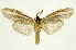  ( - INB0003074774)  @11 [ ] Copyright (2012) J. Montero INBio