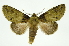  ( - INB0003074809)  @11 [ ] Copyright (2012) Juan Mata Lorenzen Unspecified
