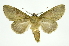  ( - INB0003074809)  @11 [ ] Copyright (2012) Juan Mata Lorenzen Unspecified