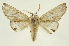  ( - INB0003076058)  @14 [ ] Copyright (2012) Juan Mata Lorenzen Unspecified