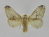  ( - INB0003076281)  @14 [ ] Copyright (2012) J. Montero Instituto Nacional de Biodiversidad