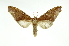 ( - INB0003078329)  @13 [ ] Copyright (2012) Juan Mata Lorenzen Unspecified