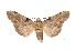  ( - INB0003079825)  @13 [ ] Copyright (2012) I. Chacon Instituto Nacional de Biodiversidad