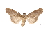  ( - INB0003079825)  @13 [ ] Copyright (2012) I. Chacon Instituto Nacional de Biodiversidad
