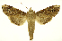  ( - INB0003079833)  @13 [ ] Copyright (2012) Juan Mata Lorenzen Unspecified