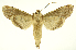 ( - INB0003079833)  @13 [ ] Copyright (2012) Juan Mata Lorenzen Unspecified