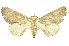  ( - INB0003080698)  @13 [ ] Copyright (2012) Juan Mata Lorenzen INBio
