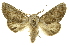  ( - INB0003080700)  @14 [ ] Copyright (2012) Juan Mata Lorenzen INBio