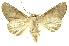  ( - INB0003080700)  @14 [ ] Copyright (2012) Juan Mata Lorenzen INBio