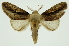  ( - INB0003080784)  @11 [ ] Copyright (2012) Juan Mata Lorenzen Unspecified