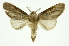  ( - INB0003080784)  @11 [ ] Copyright (2012) Juan Mata Lorenzen Unspecified