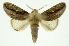  ( - INB0003080786)  @11 [ ] Copyright (2012) Juan Mata Lorenzen Unspecified