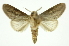  ( - INB0003080786)  @11 [ ] Copyright (2012) Juan Mata Lorenzen Unspecified