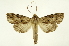  ( - INB0003083773)  @14 [ ] Copyright (2012) Juan Mata Lorenzen Unspecified