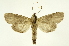  ( - INB0003083773)  @14 [ ] Copyright (2012) Juan Mata Lorenzen Unspecified