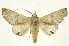  ( - INB0003083958)  @14 [ ] Copyright (2012) Juan Mata Lorenzen Unspecified