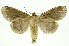  ( - INB0003084092)  @11 [ ] Copyright (2012) Juan Mata Lorenzen Unspecified